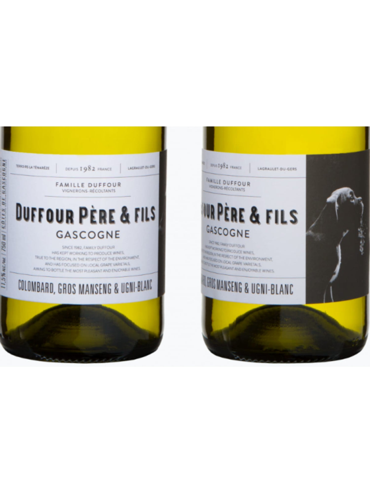 Herbst-Probierpaket – 3 Weine für eure Event-Planung